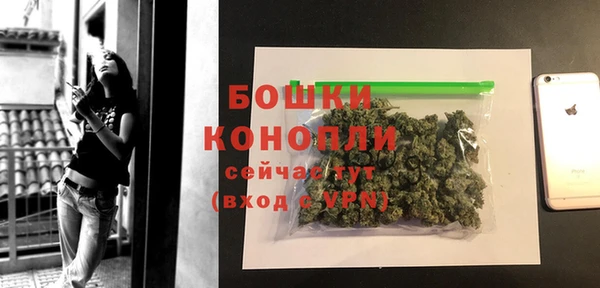 гидра Наволоки