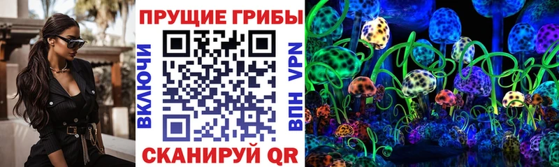закладки  Тетюши  мориарти какой сайт  Псилоцибиновые грибы Magic Shrooms 
